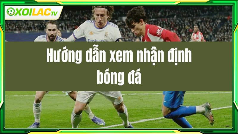 Hướng dẫn xem nhận định bóng đá tại website Hướng dẫn xem nhận định bóng đá tại website