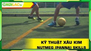 Kỹ thuật xâu kim (Nutmeg) là gì?